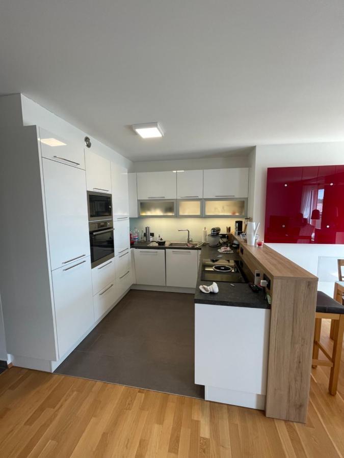 Penthouse Wohnung Am Radweg Mit Dachterasse Вайдхофен-ан-дер-Тайя Экстерьер фото